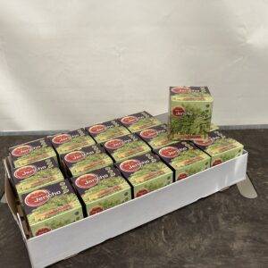 Selaginella 'Rose von Jericho'